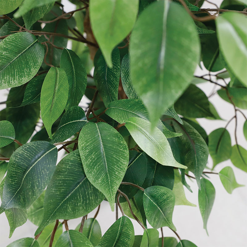 Τεχνητό δέντρο φίκος με ρεαλιστικά καταπράσινα φύλλα