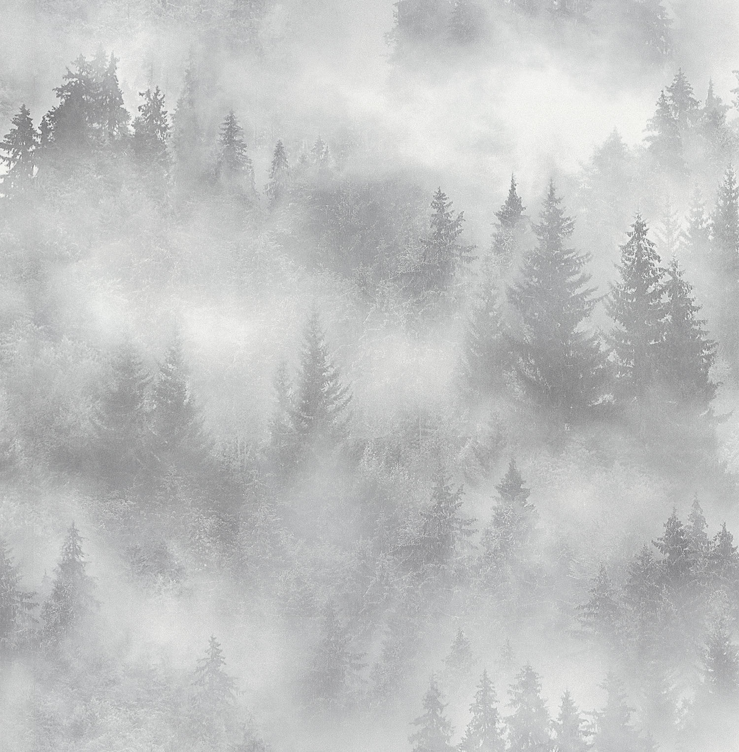Ταπετσαρία Τοίχου Θεματική με Δάσος και Ομίχλη
